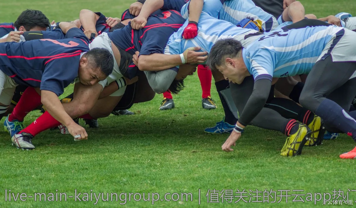 值得关注的开云app热门功能，你知道哪些？