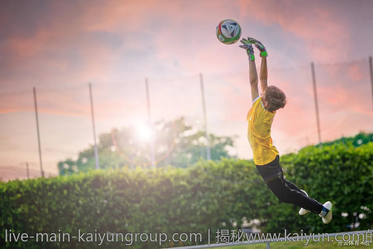 揭秘www.kaiyun.com的优惠活动，如何获取更多折扣