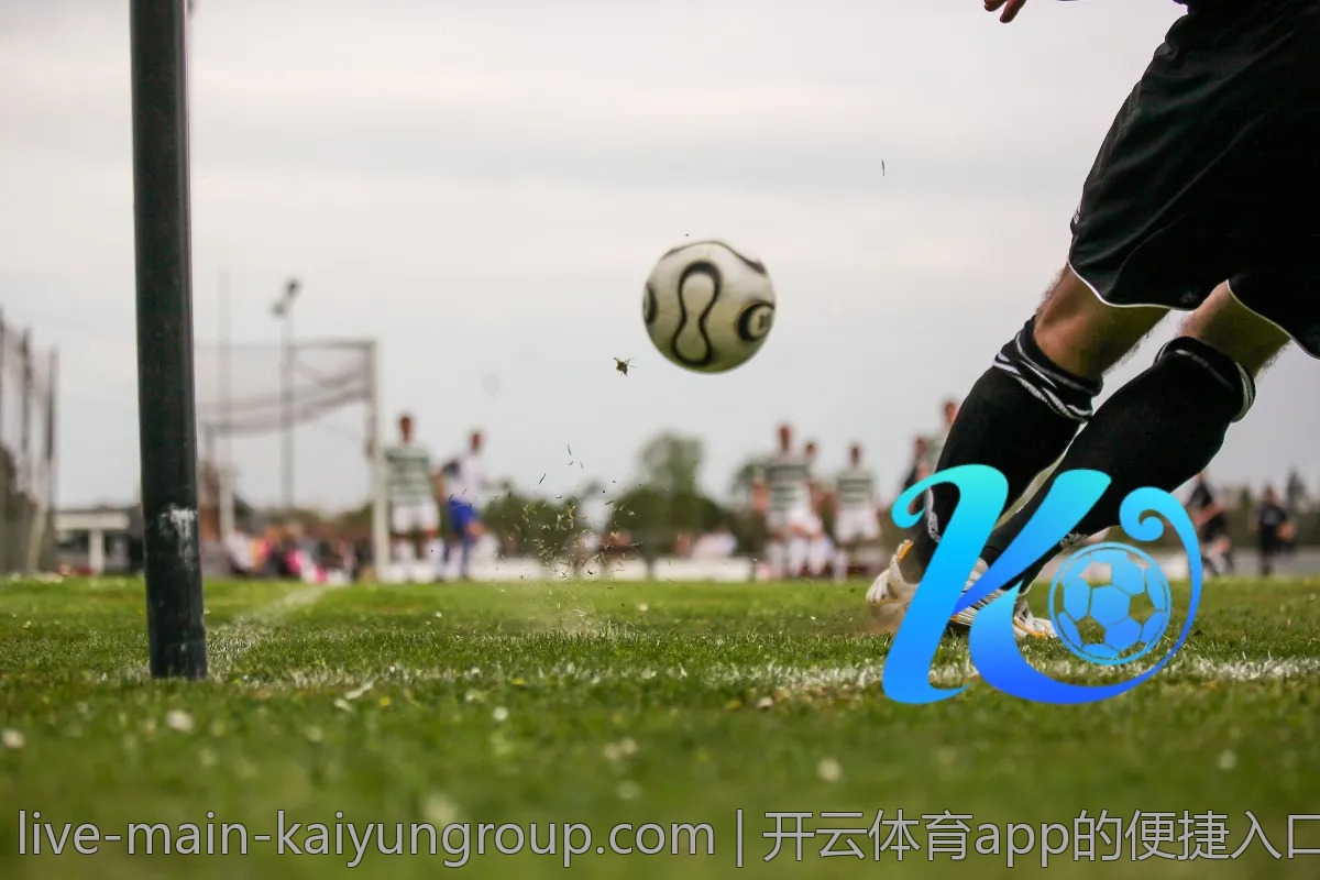 开云体育app的便捷入口，如何轻松找到最想看的内容